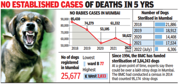 Dog bites down 30% in Mumbai, but threat of rabies remains | Mumbai ...