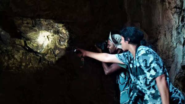 Maharashtra: Explorations at Vengurla’s rock islands discover rare eco-fragile caves | Mumbai News – Times of India