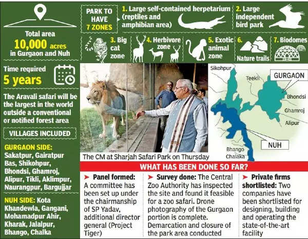 Big cats in Aravali forests? 'Zoo safari' plan takes shape | Gurgaon News -  The Times of India