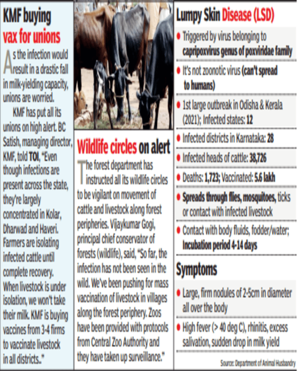 Lumpy disease hits livestock, business across Karnataka | Bengaluru News -  Times of India