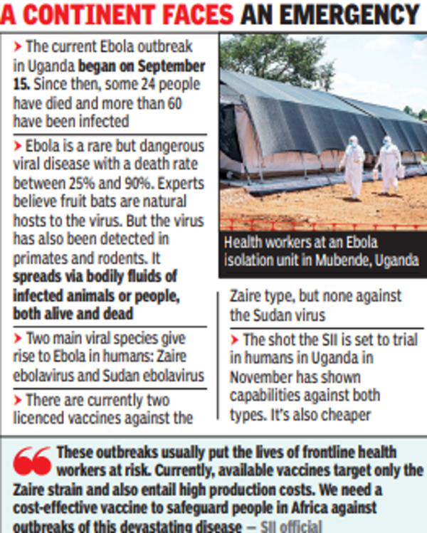 Pune: SII to test Ebola vaccine using Covishield recipe | Pune News – Times of India
