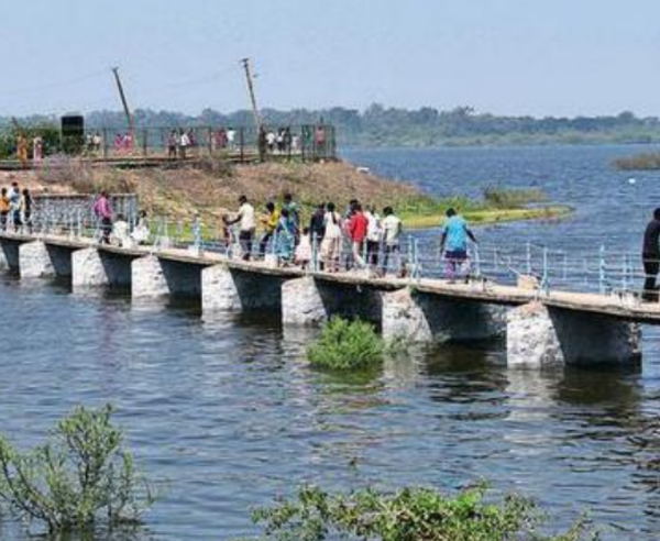 Hesaraghatta Lake: After 28 years, Bengaluru's century-old Hesaraghatta ...