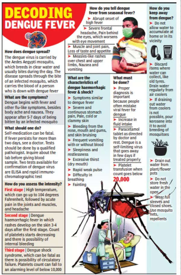 Fever? Avoid selfmedication, say experts as dengue surges Lucknow News Times of India