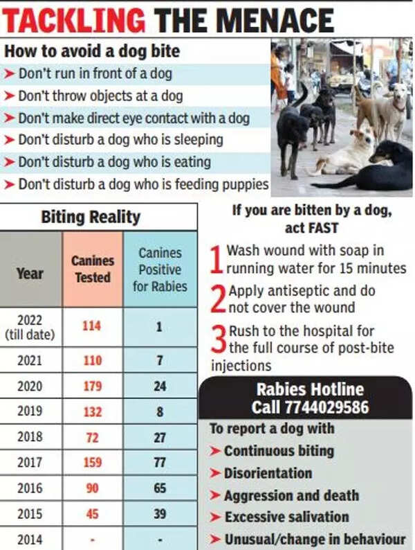 11 cases of rabies in canines found outside Goa’s borders Goa News