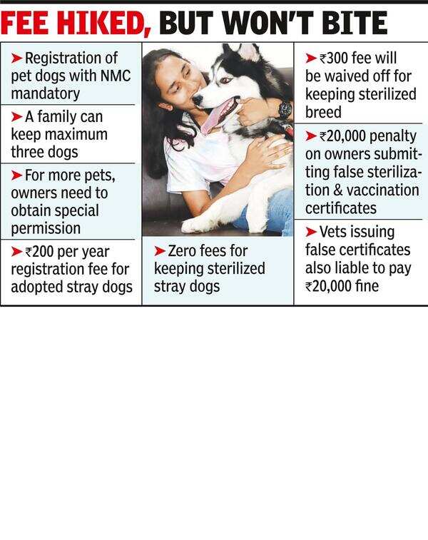 Now, Pay ₹500 As Licence Fee To Register Your Pet Canine With Nmc