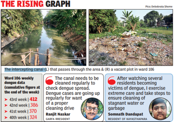 Vacant Plots And Canal Turn Ward 106 A Dengue Hot Spot | Kolkata News ...