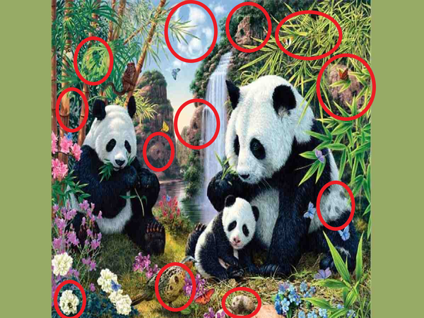 Optical Illusion: Only those with sharp eyesight can see the hidden panda -  Times of India