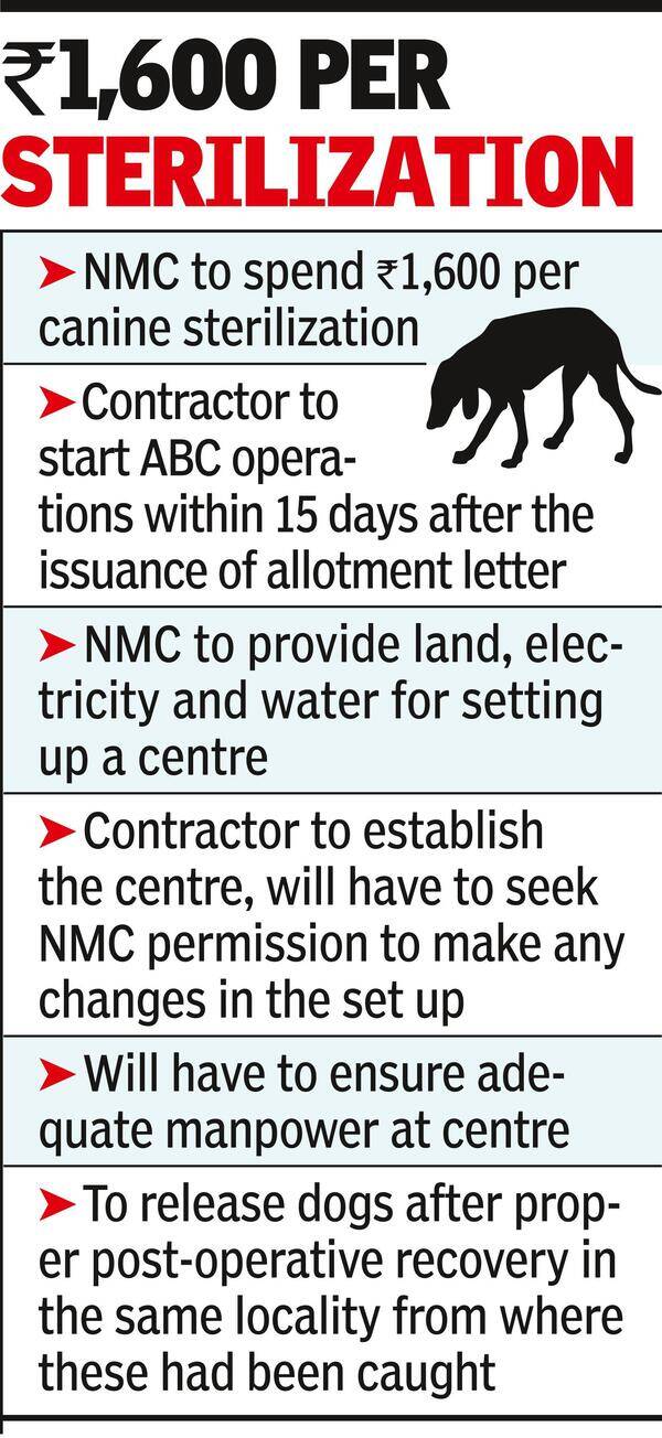 Nmc Nmc Floats Eoi To Resume Drive To Sterilize Stray Dogs Times
