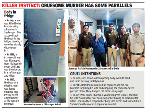 Delhi murder case: Love, betrayal and a chilling fallout