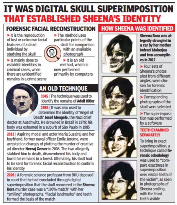 sheena