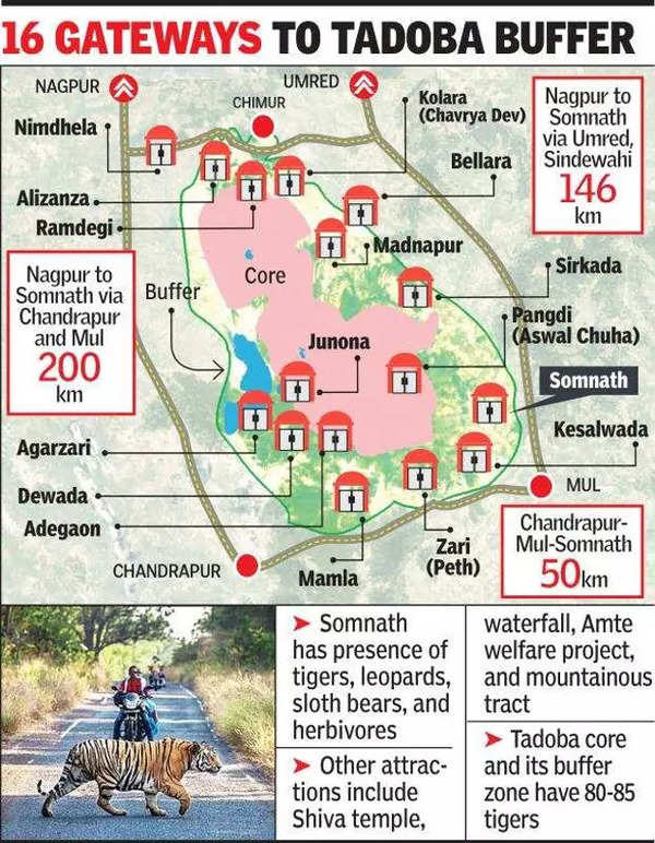 91+ most beautiful images in Tadoba Andhari Tiger Reserve, Maharashtra ...