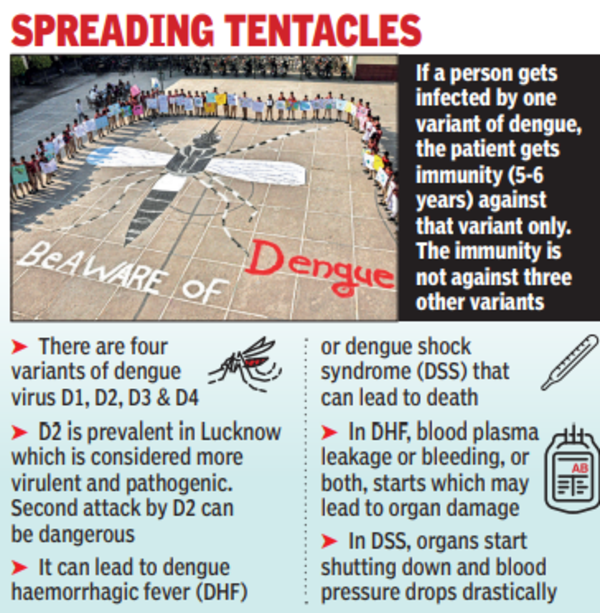 Dengue’s most harmful D2 variant found in most patients in the capital