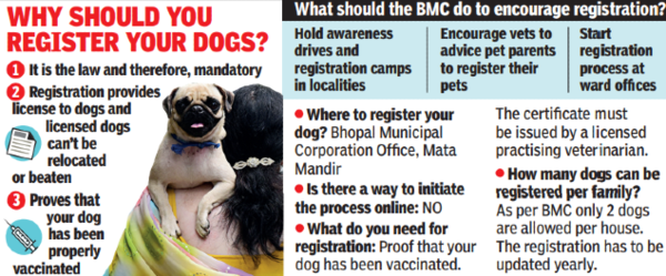 Only 485 Dogs Registered With Bmc | Bhopal News - Times of India
