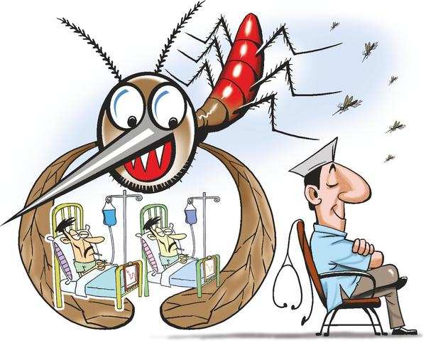 State Registers 29 New Dengue Cases In 24 Hrs | Patna News - Times of India