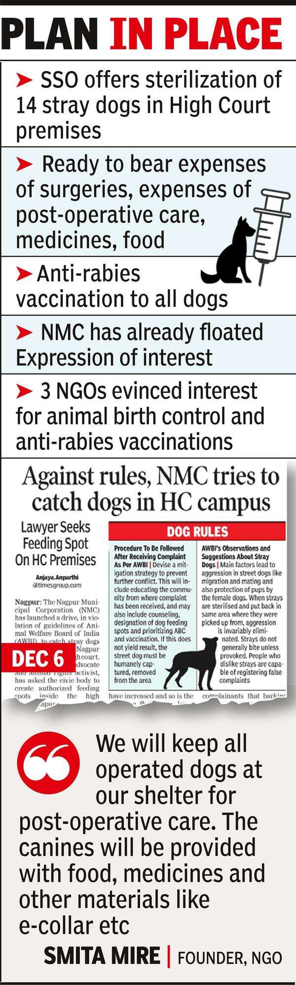 Ngo Ngo Offers Aid For Sterilization Of Dogs In Hc Times of India