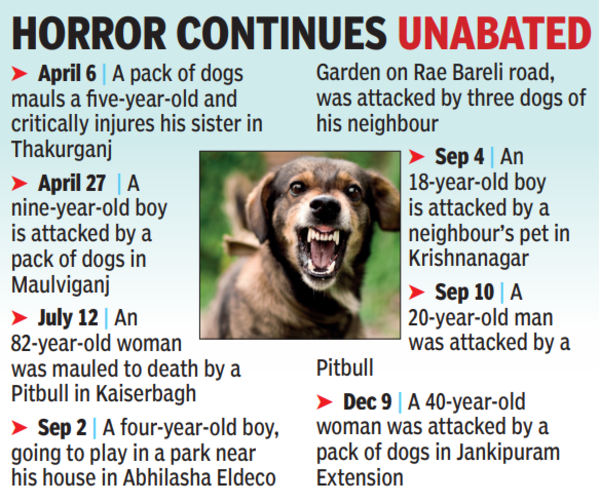 Pack of stray dogs attacks woman in city