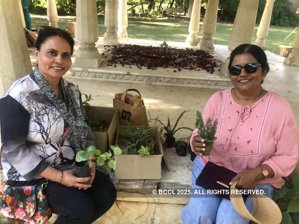Jaipur'un bitki takası