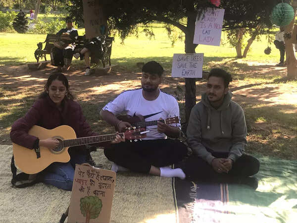 Jaipur'un bitki takası