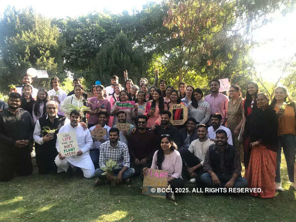 Jaipur'un bitki takası