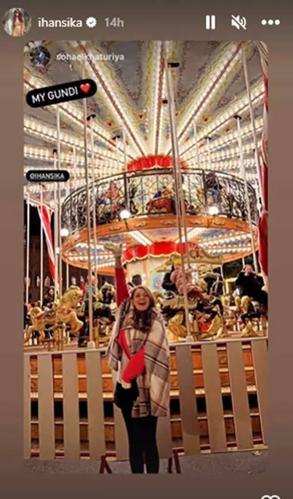 Hansika at Vienna