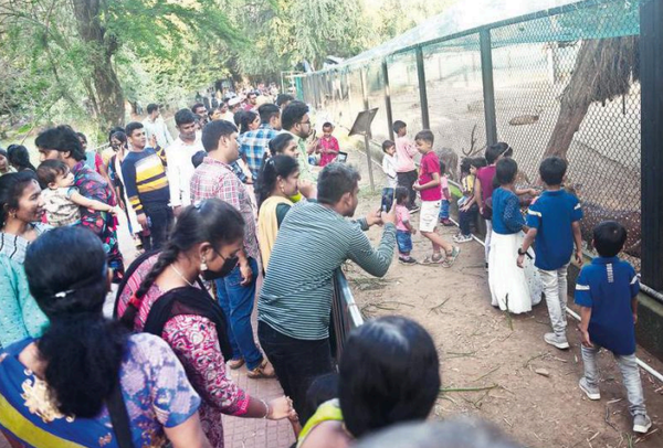 Visitors throng zoo, children’s park