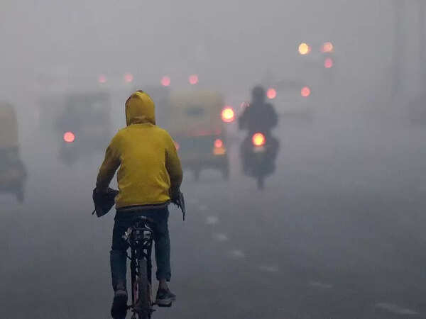 delhi winter winter2