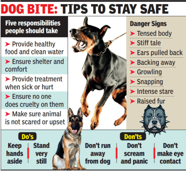 'Inhuman behaviour behind rising dog attacks' in Lucknow Lucknow News