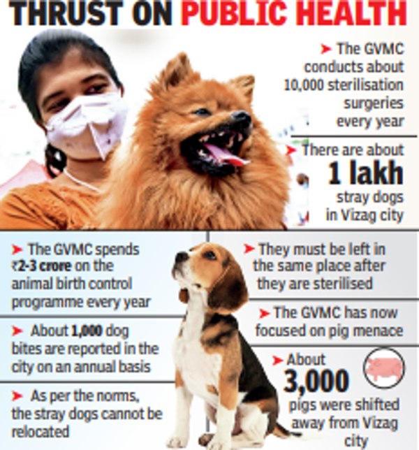 1,200 Pet Dogs Given Microchips In Vizag Visakhapatnam News Times of India