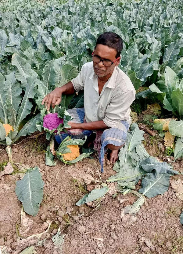 Çiftçi Pramath Majhi