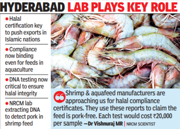 Now, exporters seek DNA testing on feed to ensure halal fitness of seafood