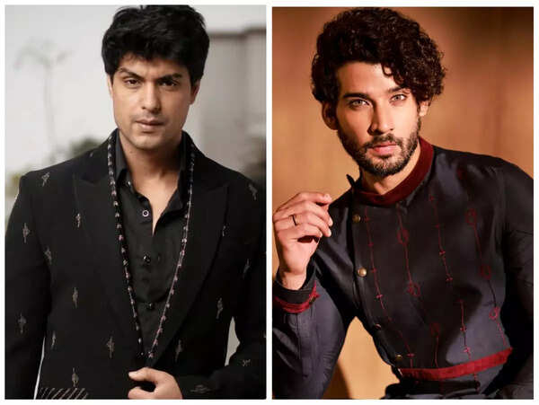 Ankit Gupta and Gautam Singh Vig