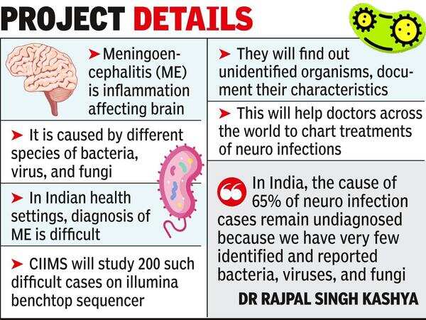 Ciims: Gates Foundation To Fund Ciims Neuro Pathogen Study | - Times of ...