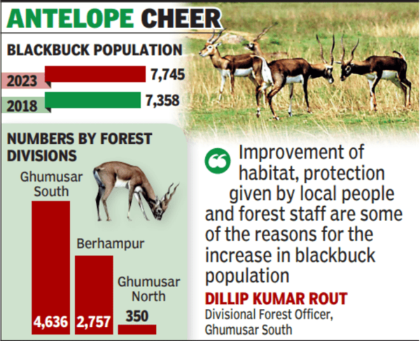 Ganjam: Blackbuck numbers rise by 387 in Ganjam | Bhubaneswar News - Times  of India