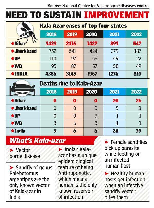 Kala Kalaazar ‘eliminated’ From All Blocks In State Patna News