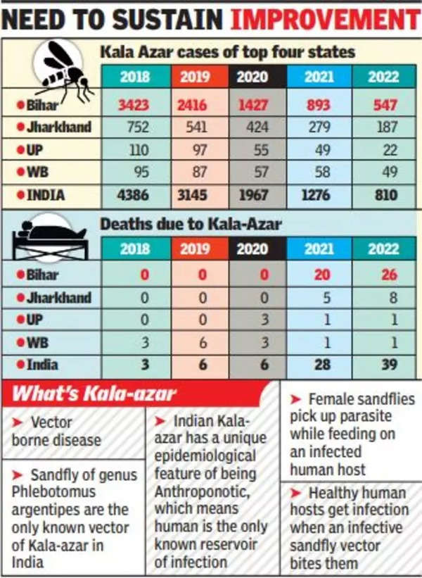 Bihar GFX'te Kala Azar