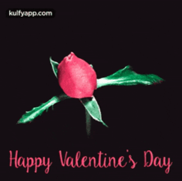 Happy Valentine's Day 2024 Images, Wishes, Messages, Quotes, Greetings