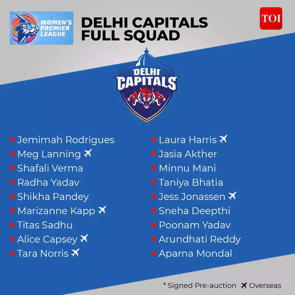 IPL Delhi Capitals 2021 Jersey / Shirt, India DC, Cricket, T20, Daredevils  VIVO