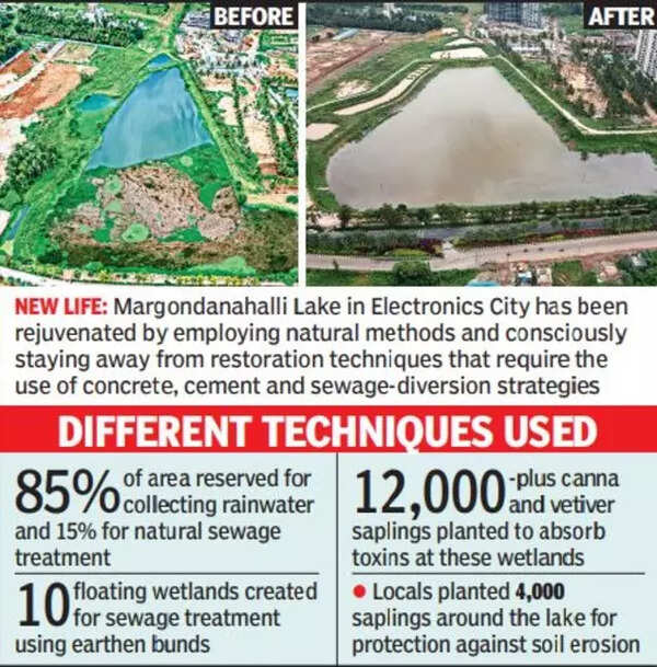 Bengaluru Expert, firm & locals use natural methods to rejuvenate