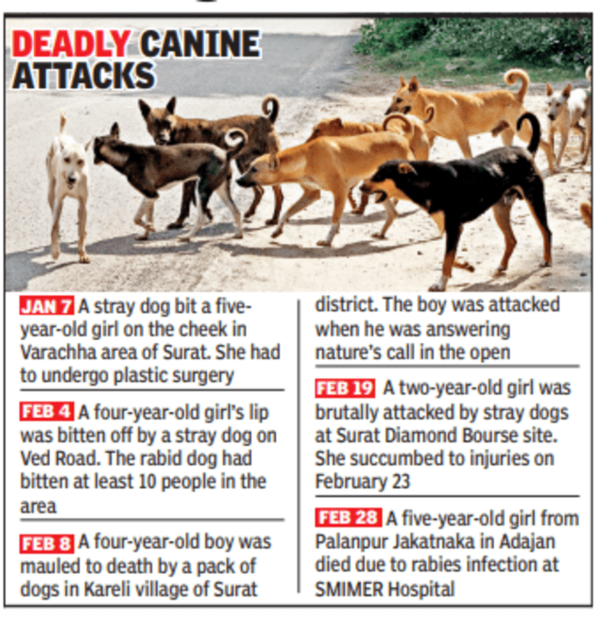 Five-year-old girl dies of rabies in Surat | Surat News - Times of India