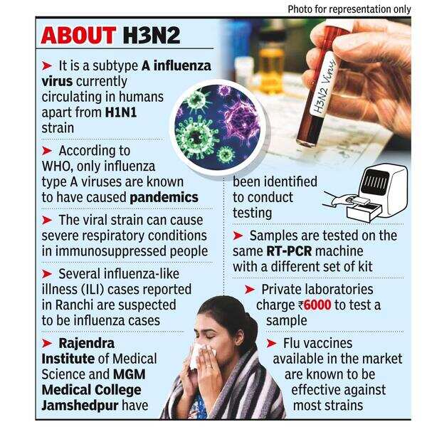 Flu cases increase in Jharkhand, experts suspect H3N2 virus Ranchi