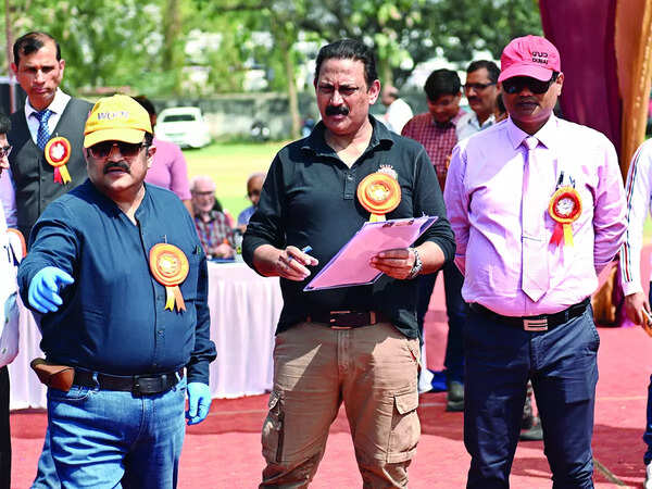 Judges Dr Ajay Sood, RT Sharma and Rajneesh Chandra