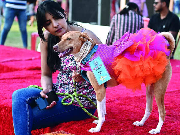 Priya Shastry’s indie Hazel, dressed as a Barbie Doll walked away with a prize in the fashion show