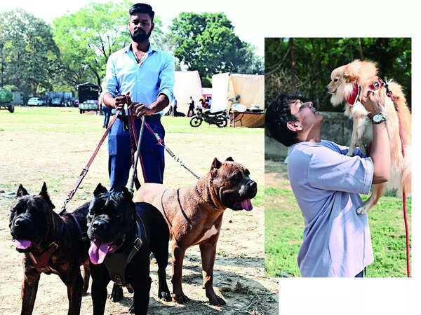 (L) Vriksh Verma with Moscow, Isaac & Alejandro, the Cane Corso (R) Coco, the Culture Pomeranian with Yash his pet parent