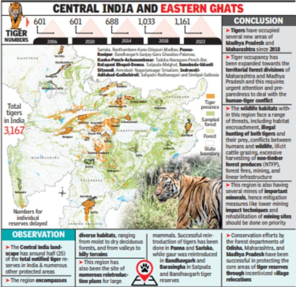 Central India Has World’s Highest Tiger Count; Maha, Mp Play Big Role | Nagpur News – Times of India