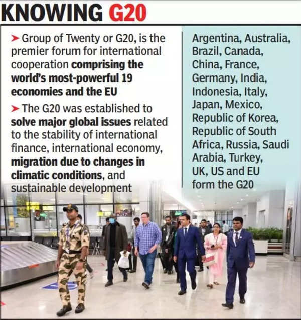 G20 delegates arrive in Dabolim