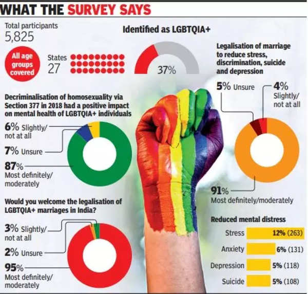 Same Sex Marriage Many Feel Legalising Same Sex Marriages Will Ease Anxieties Delhi News 