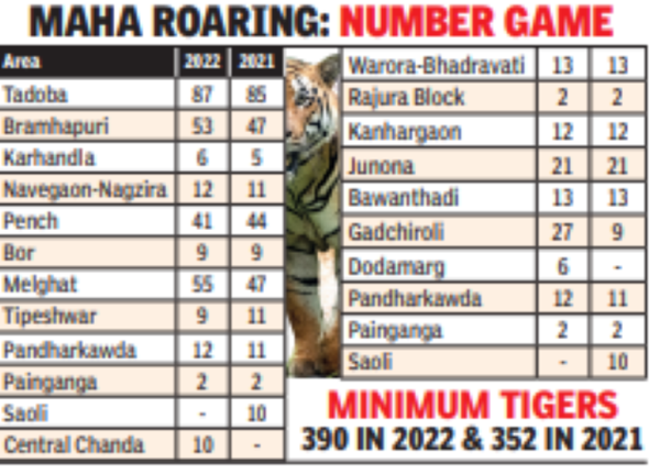 At 390, Maha Tiger Tally Roars Louder Riding On Vid Big Cats | Nagpur News – Times of India