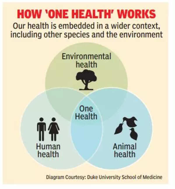 onehealth