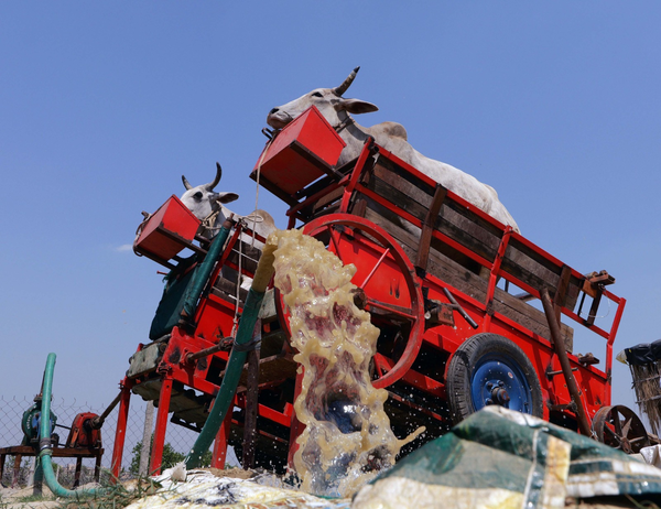 Nandi Rath: An eco-friendly wheel of fortune for farmers | Lucknow News ...