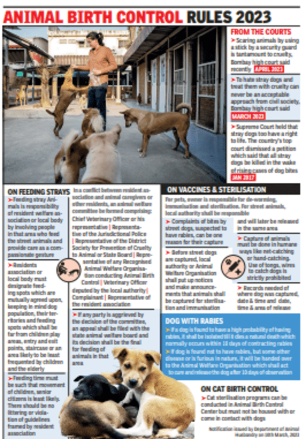 Onus now on housing societies to ensure place & time to feed stray dogs